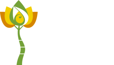 fisioterapia cavallazzi florianopolis logo-branco-h