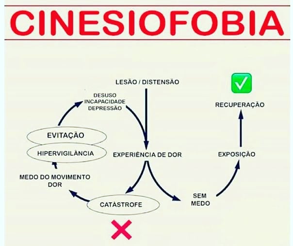 CINESIOFOBIA NA DOR LOMBAR CRÔNICA – FISIOTERAPIA