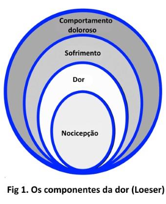 DOR CRÔNICA